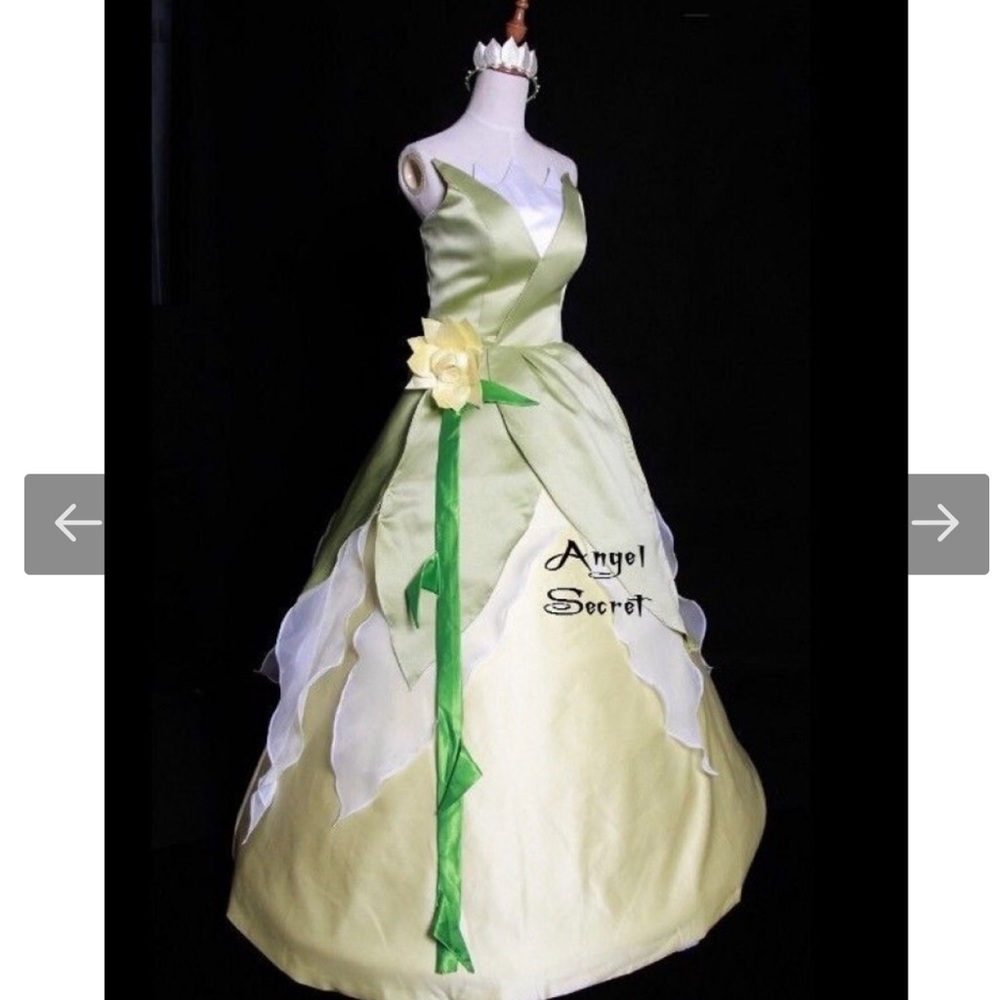 Princess Tiana Gown & Crown ✨